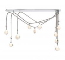 Lib & Co. CA 12068-01 - Bellissima, 10 Light Linear Chandelier, Chrome