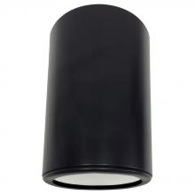 Avista Lighting Inc A1101RC-BK - Avista Cylinder Outdoor Celing Fixture Black -Round