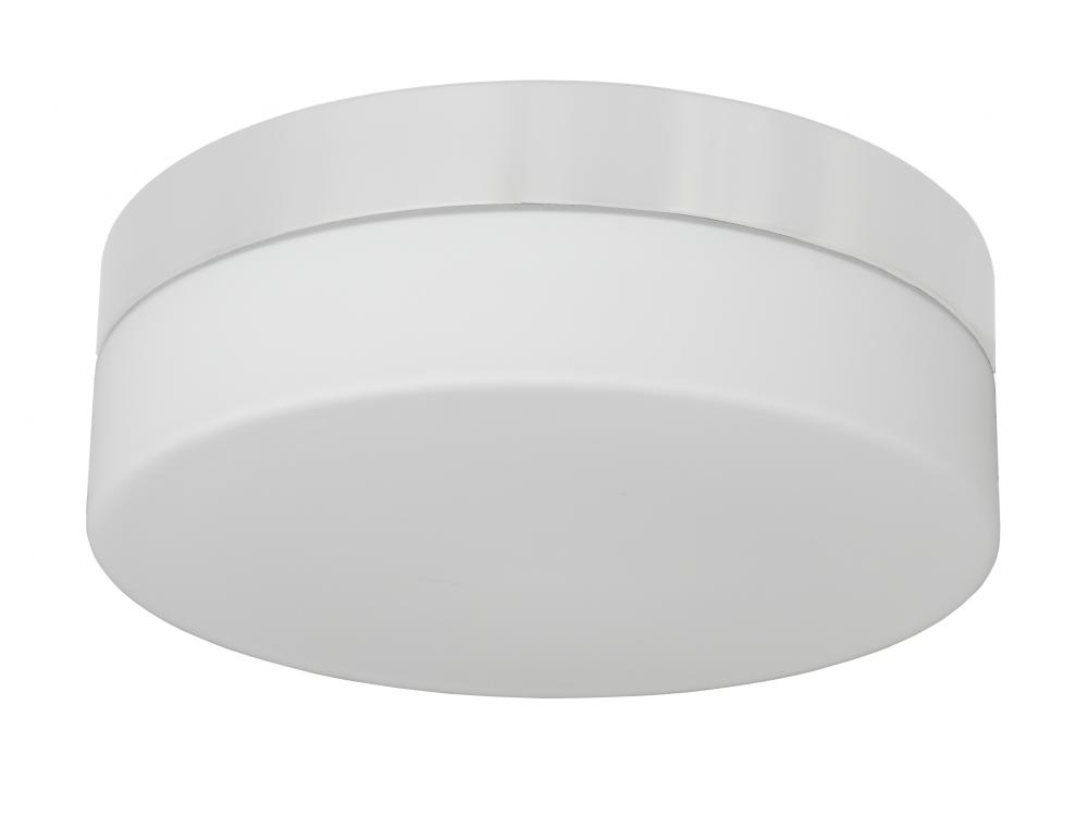 2 Light Flush Mount