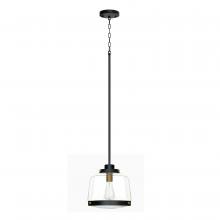 Whitfield PT561-11BKNG - 1 Light Pendant