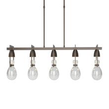 Hubbardton Forge - Canada 137810-SKT-LONG-05-ZM0572 - Apothecary Pendant