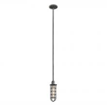 Uttermost 21977 - Uttermost Bearinger 1 Light Mini Pendant